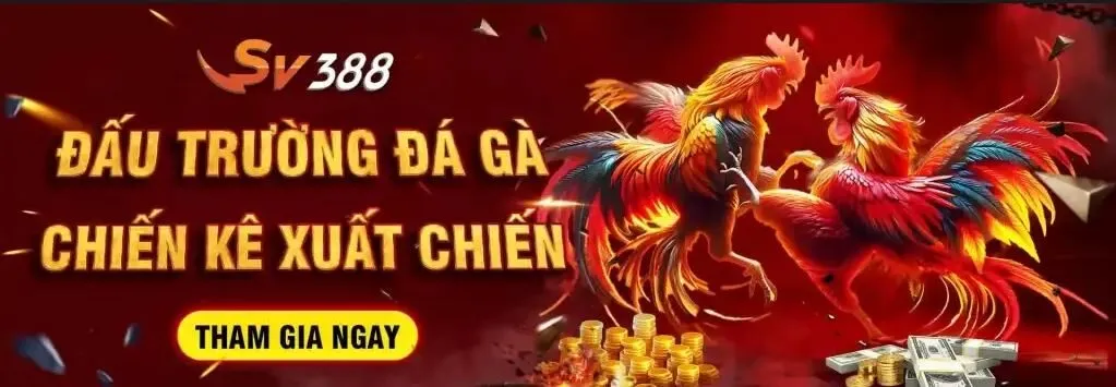 SV388 Sàn đá gà trực tuyến hấp dẫn