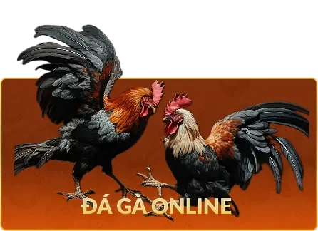 gtbig 3